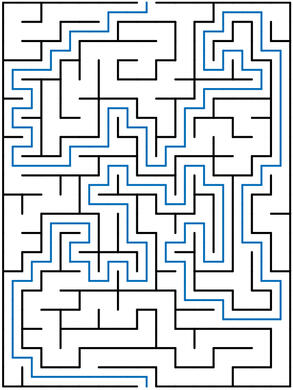maze example